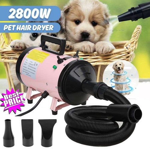 Professional pet hairdryer dog - professional,