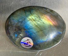 Beautiful Vibrant Golden