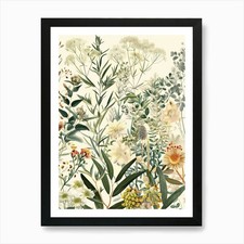 Botanicals Art Print Framed
