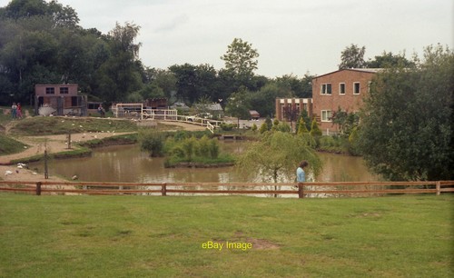 Photo 12x8 pond next - photo,