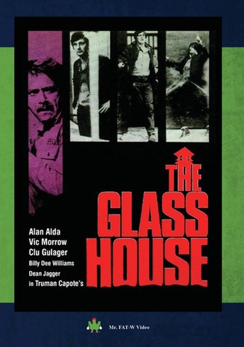 Glass house - glass,