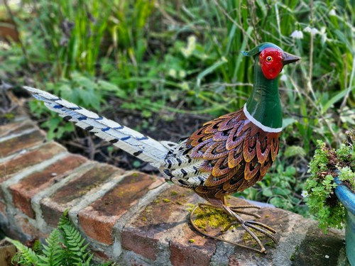 Upright pheasant garden - upright,