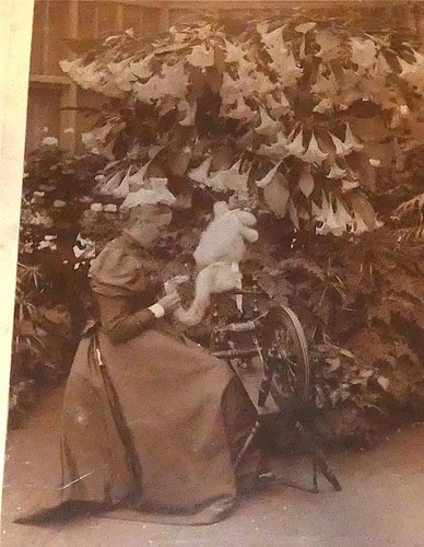 Antique cabinet photograph - cabinet,