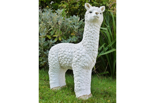 Large llama animal - llama,