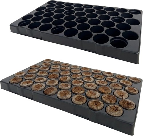 Nutley cell seed - 51,
