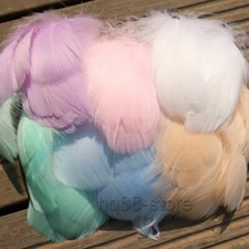 1000pcs White Fluffy Swan