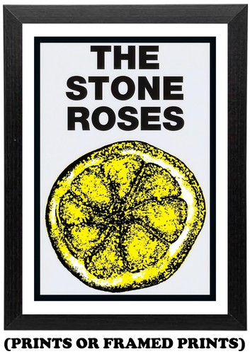 Stone roses lemon - stone,