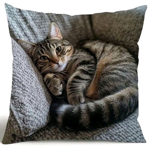 Printed cute tabby - 1, kitten