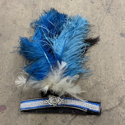 60s vintage ostrich - ostrich, feather