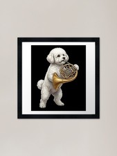 Bichon Frise Playing French