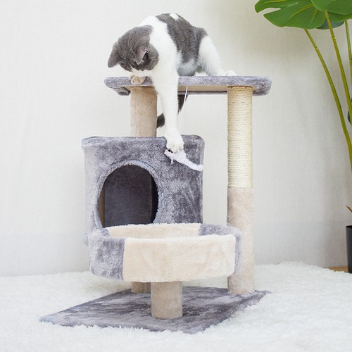 Cat scratching post - cat,