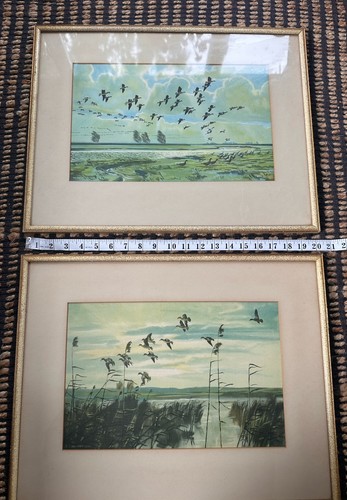 Pair vintage peter scott - pair,