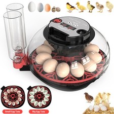 Digital 12-Egg Incubator