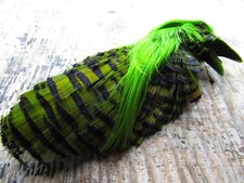 IFS Chartreuse Golden Pheasant Complete Head,Tippet, Crest, hackle,Bumble.