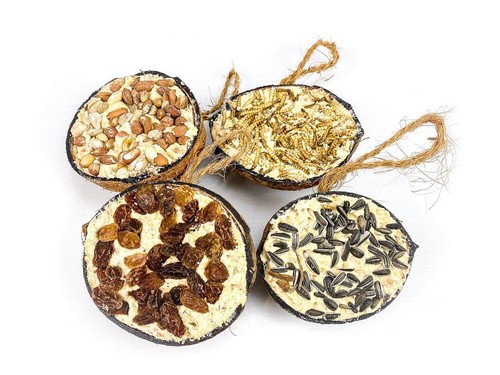Chubby suet filled coconut - filled,