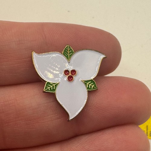 Vintage ontario trillium - vintage,