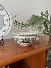 Vintage Portmeirion Botanic