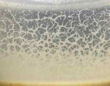 Microworm Culture for Feeding Live Food Fish Fry Tank Aquarium Baby