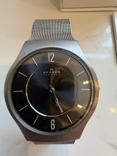Skagen denmark titanium mens - denmark,