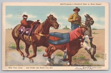 USA Rodeo Cowboy Bull-Dogging Hereford Steer West Texas Linen Postcard 1942