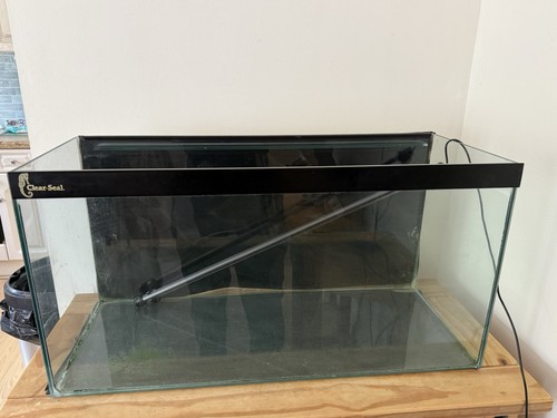 Fish tank 100 litres - fish,