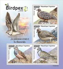 BIRDPEX SEEDSNIPES Snipes Wader Birds/Bird MNH 4v-Stamp Sheet #2062 (2022 Togo)