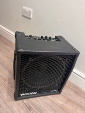 Polytone Mini Brute II - Z