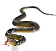 45cm Fake Realistic Rubber Toy