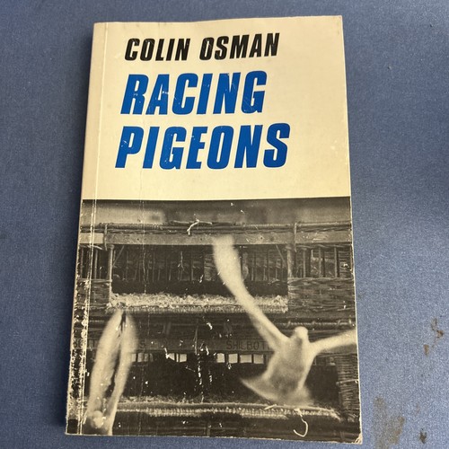 Racing pigeons colin - racing, is