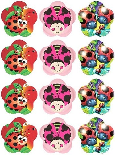 Ladybird lady bug fairy - 24,