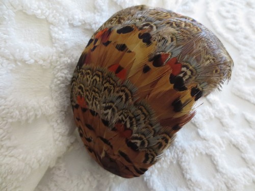 Vintage 1950 pheasant - 1950-60's,
