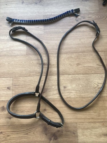 Small job lot vintage - , bridle