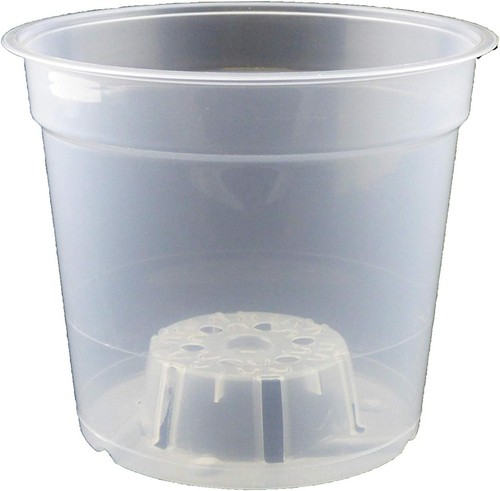 Clear orchid plant - x, pots
