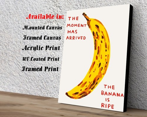David shrigley ripe banana art - shrigley,