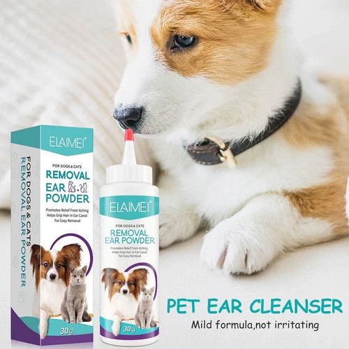 Dog ear cleaning - dog, pet
