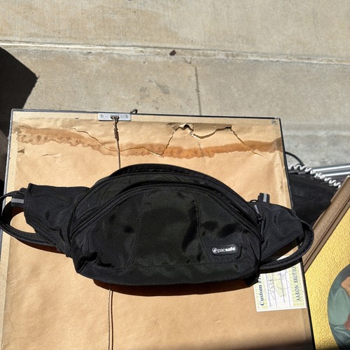 Pacsafe stashsafe 100 anti - pacsafe,