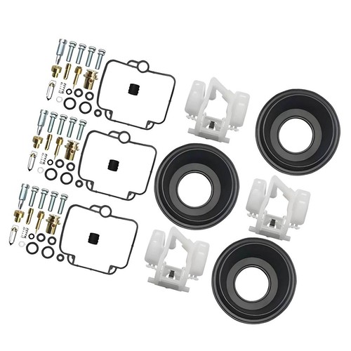 Premium carburetor repair kit - carburetor,
