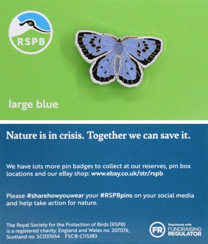 Rspb pin badge niic - pin,