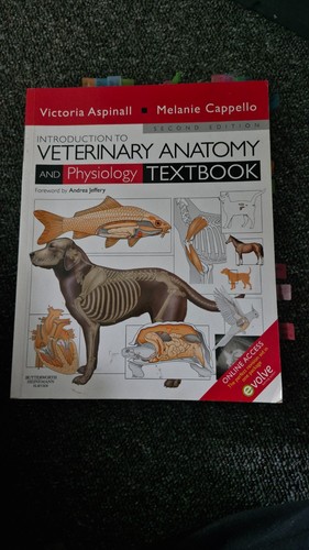 Introduction veterinary - introduction, to