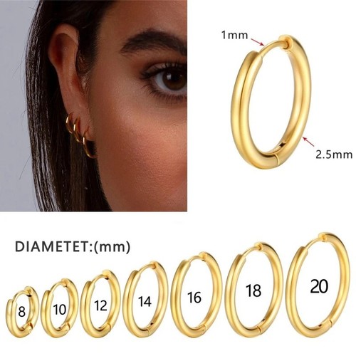 Pair hoop earrings - hoop,
