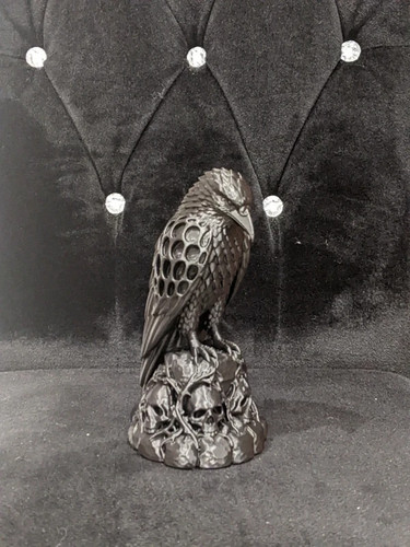 Gothic raven with - gothic, skulls