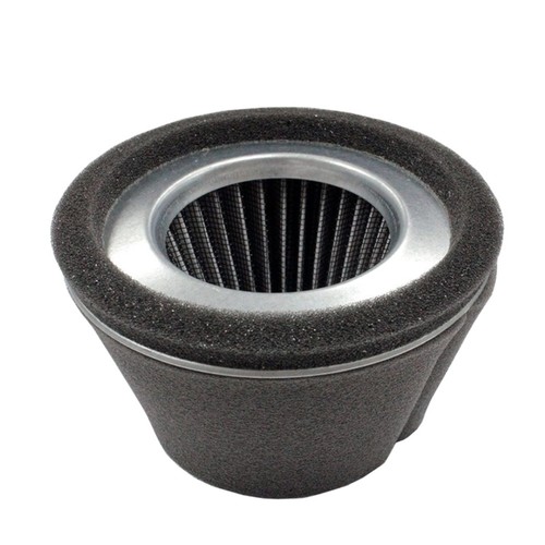 Air filter cleaner for - filter, robin