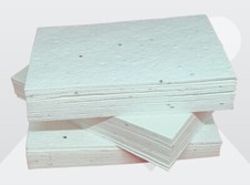  Plantable Wildflower Seed