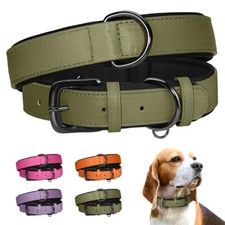 Leather Dog Collar Heavy Duty Comfortable Padded Lining with 5 Colours XS-XL