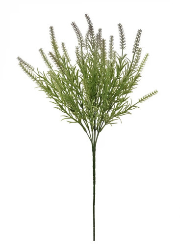 Thorn spray - thorn,