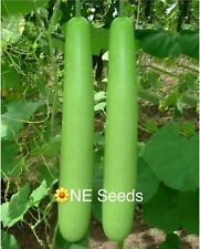 🌼 Bangladeshi Vegetable  Long Lau Khodu Pani Kodu Bottle Gourd Seeds 