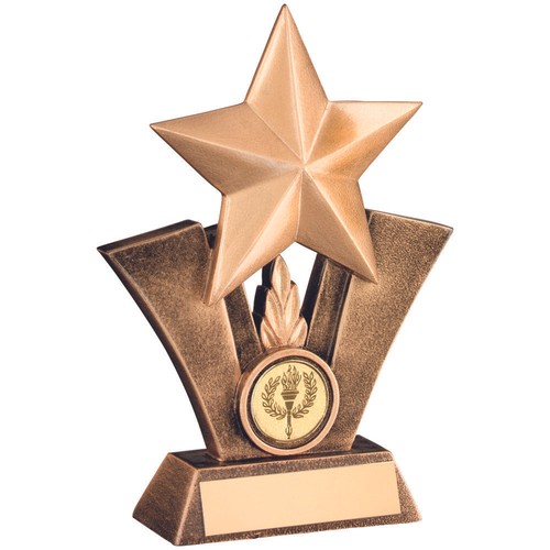 Multisport award top gold - award,