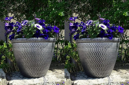 Round plastic garden plant - garden,