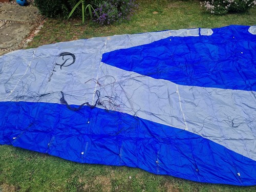 Wind art demon power kite - demon, 18