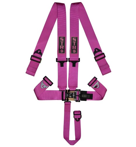 Nascar race harness - race,